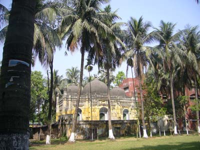 P1000764