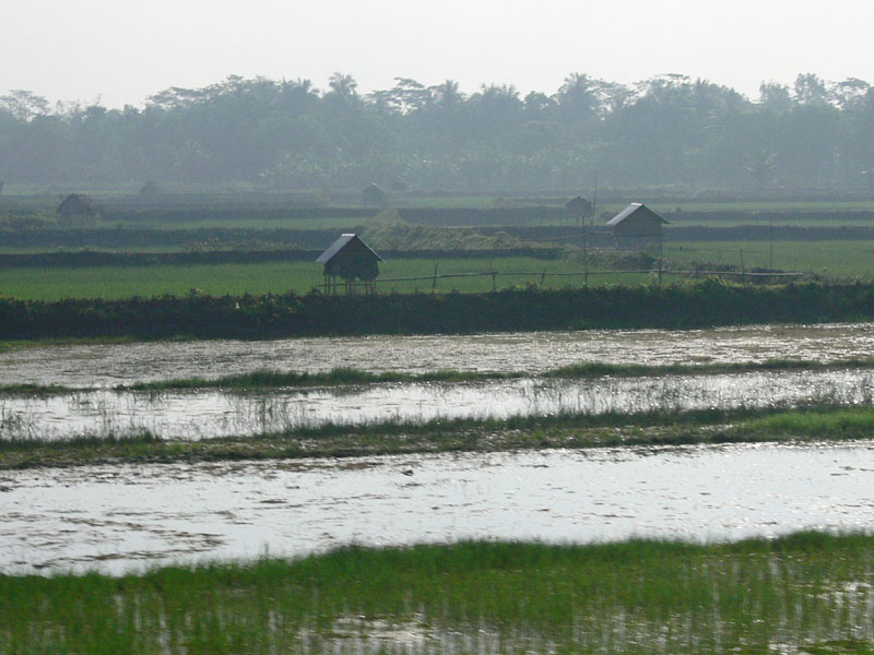 03d_P1000450