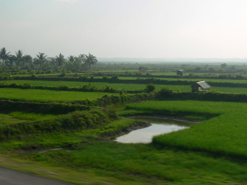 03l_P1000442