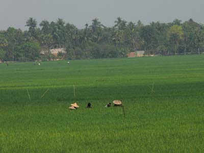 03a_P1000078