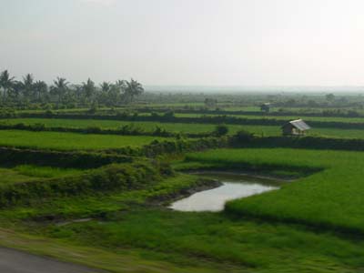 03l_P1000442