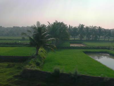 P1000452