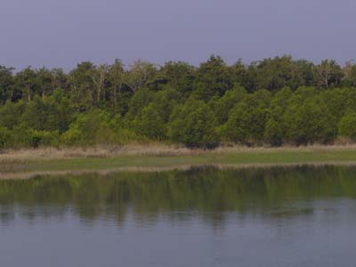 05c_P1000568