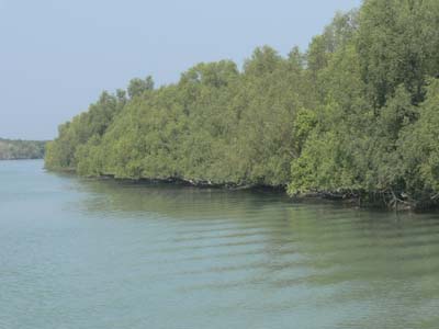 05e_P1000172