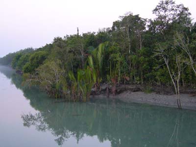 P1000547