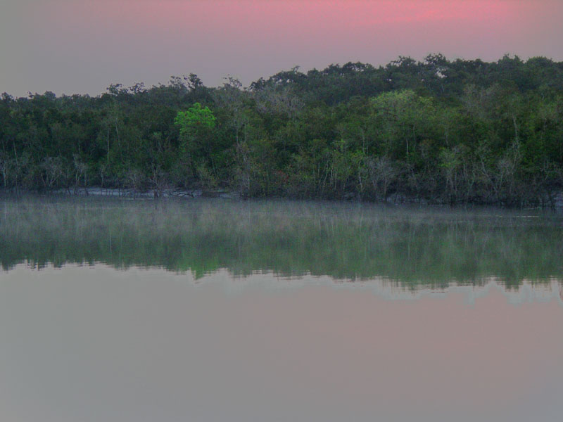 05aC_IMGP7299