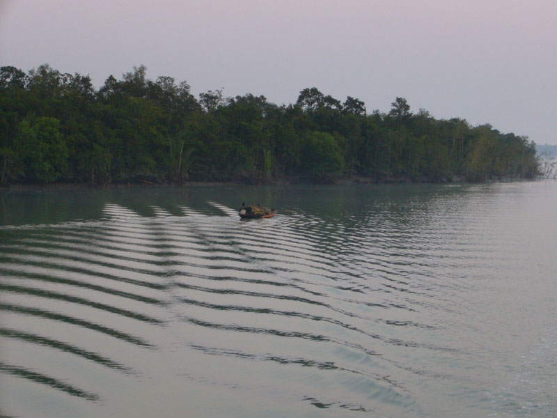 P1000554