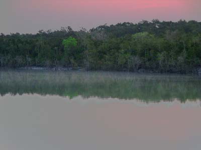 05aC_IMGP7299