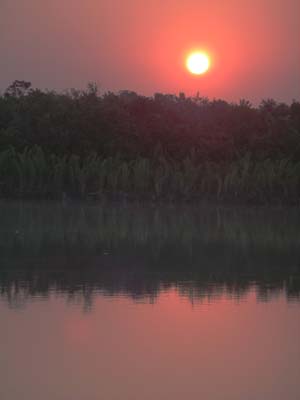05aF_IMGP7302