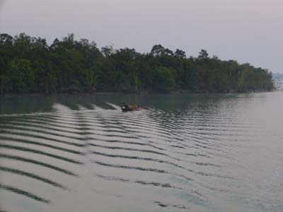 P1000554
