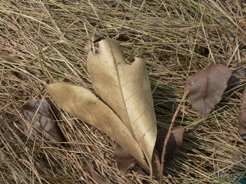 05bI_P1000199