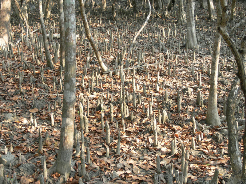 P1000218