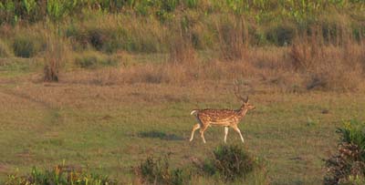 05bG_P1000249
