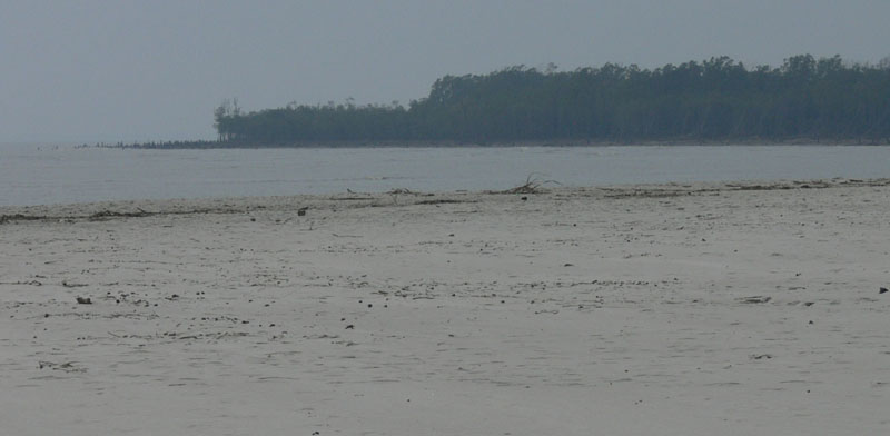 P1000192