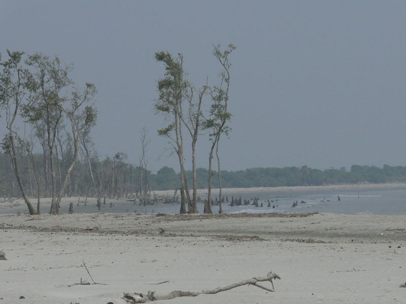 P1000196