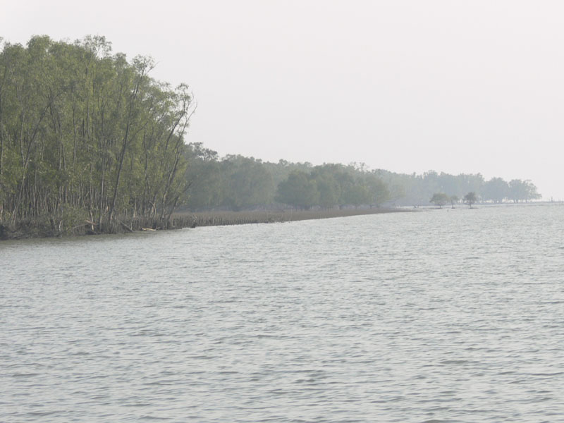P1000247
