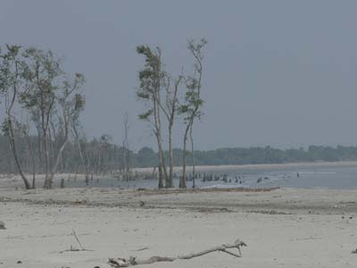 P1000196