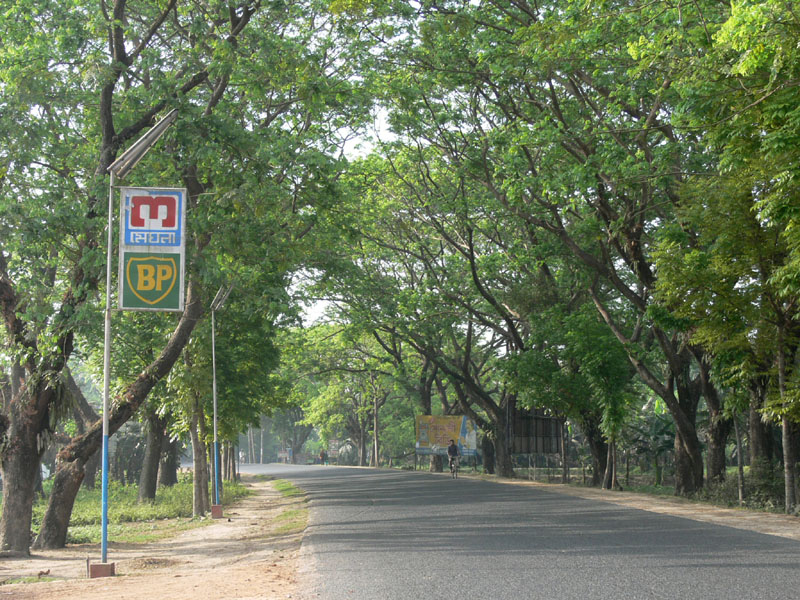 P1000412