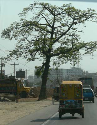 P1000923