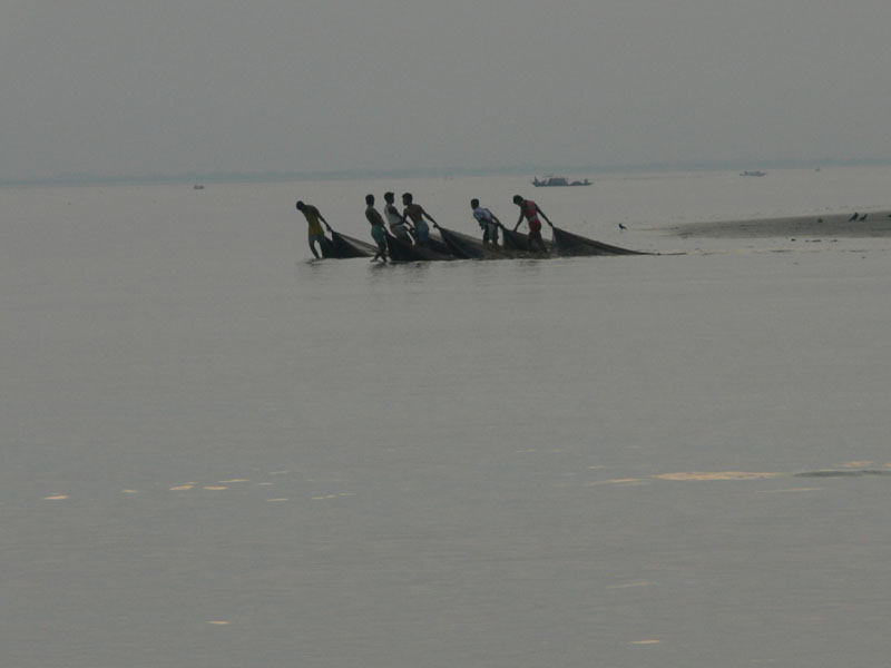 08d_P1000497