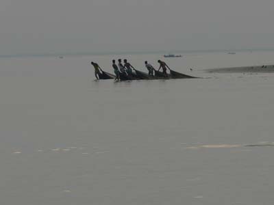 08d_P1000497