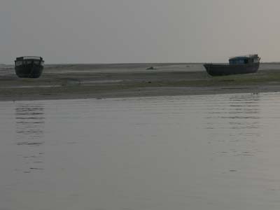 08p_P1000491