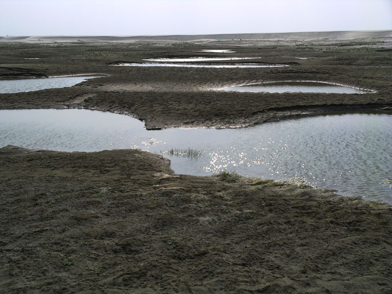 IMGP7433