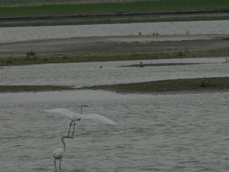 P1000564