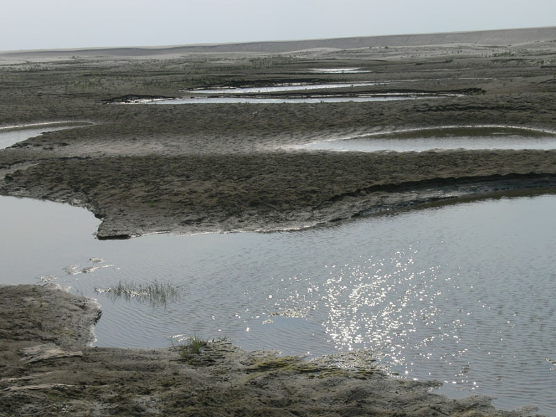 P1000575