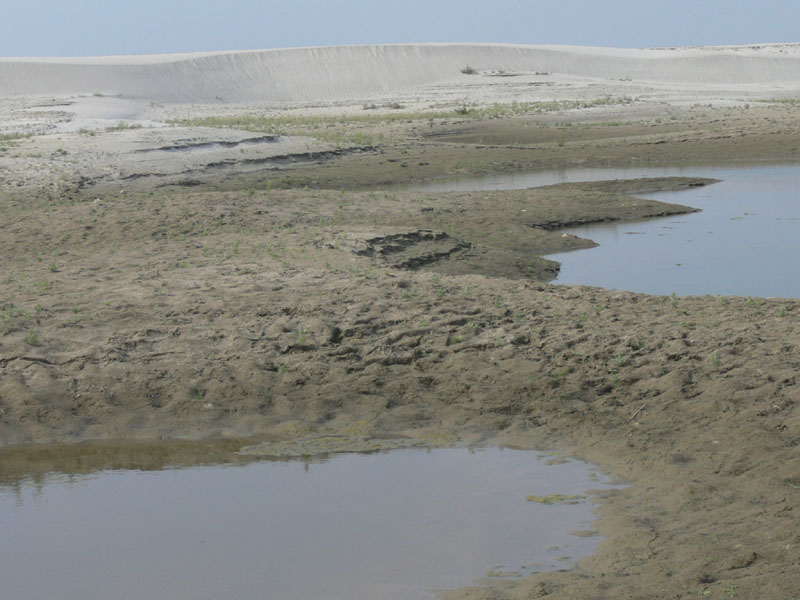 P1000578