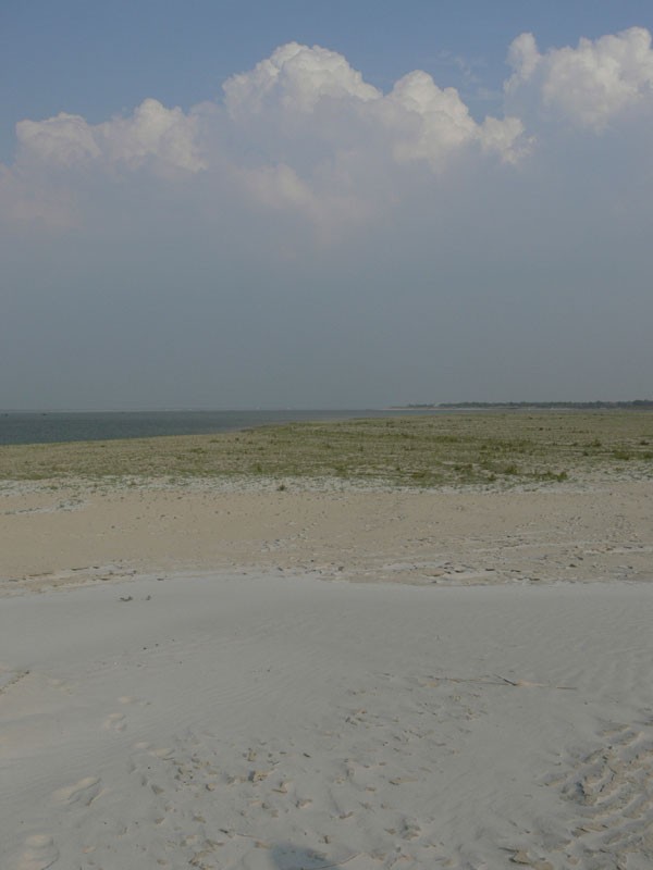 P1000593