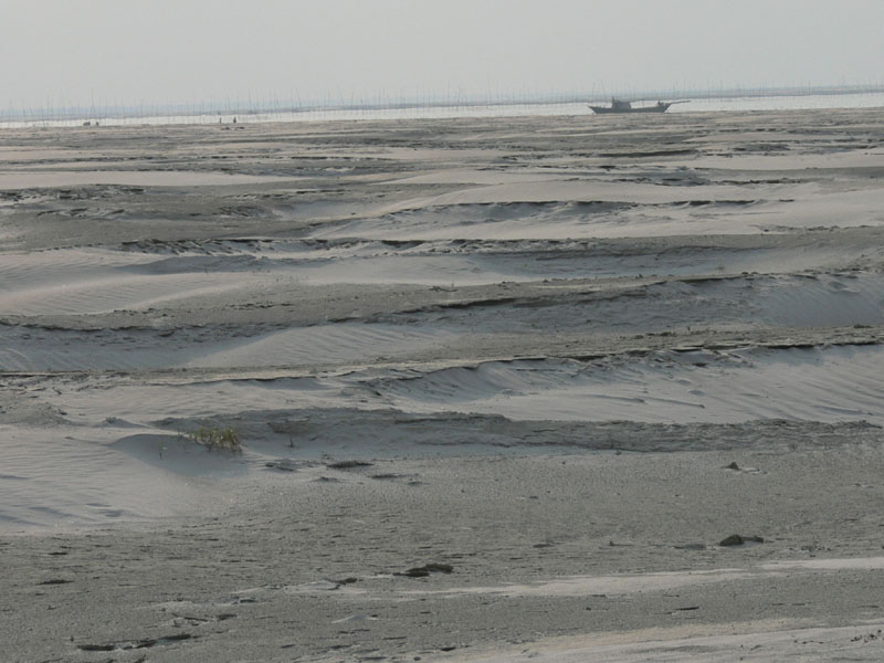 P1000601