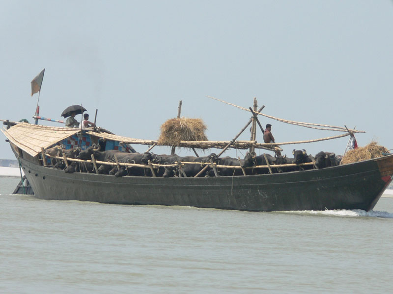 P1000648