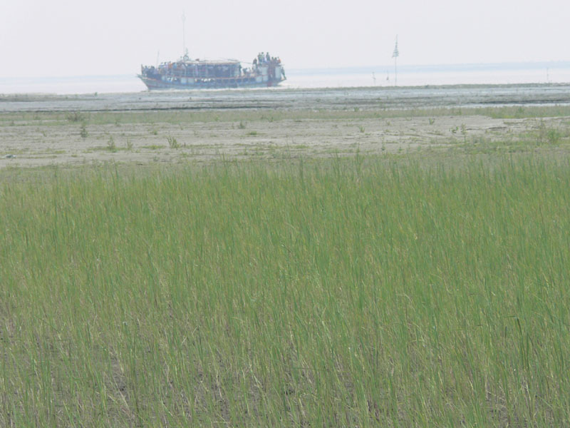 P1000673