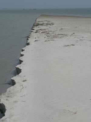09a_P1000567