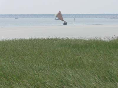 09o_P1000631