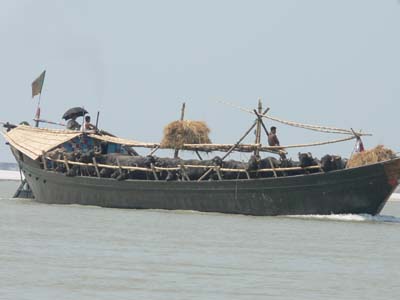 P1000648