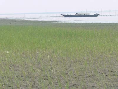 P1000671