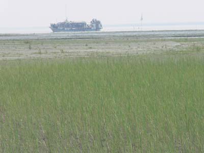 P1000673