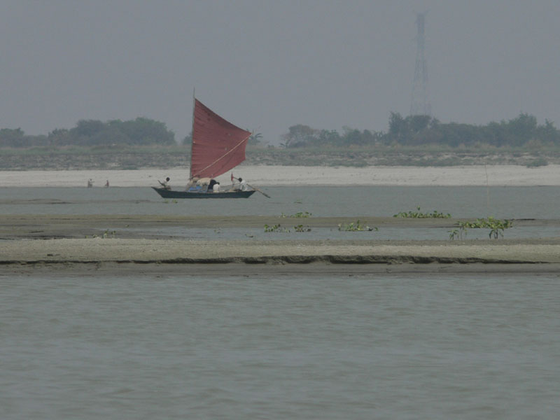 P1000554