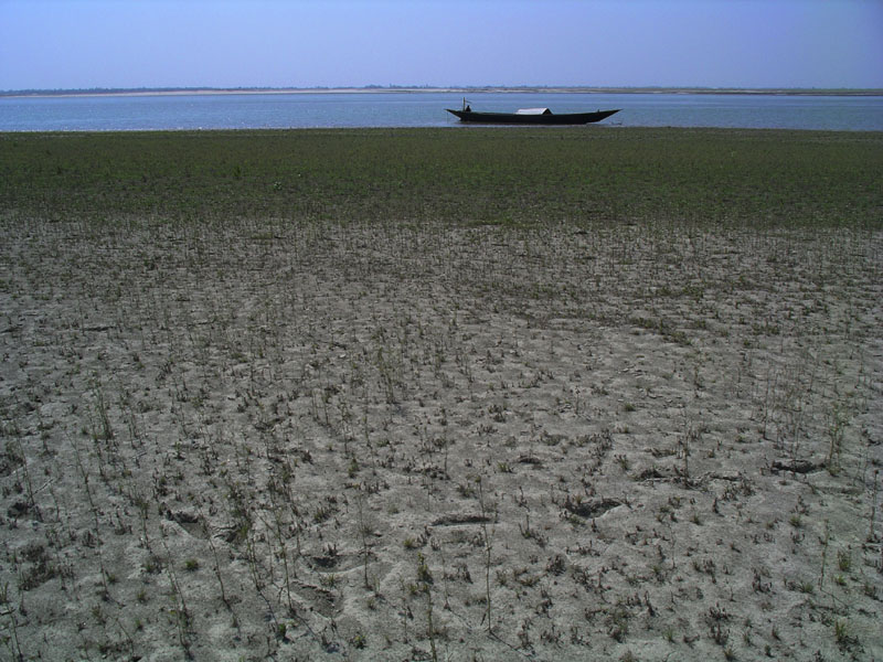 10q_IMGP7527