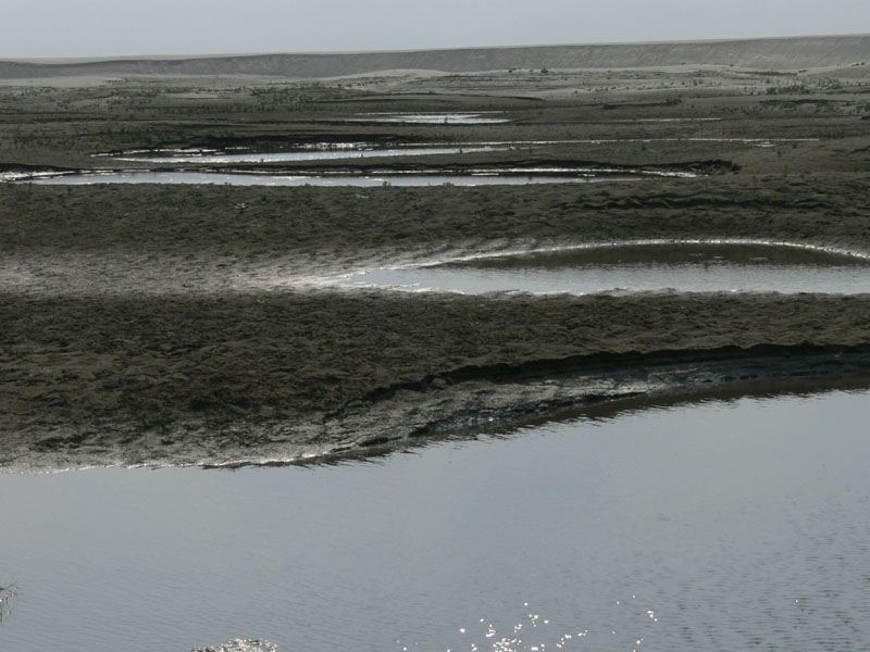 P1000579