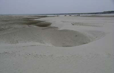 10m_IMGP7408