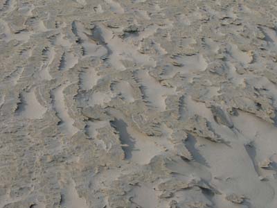 10o_P1000589