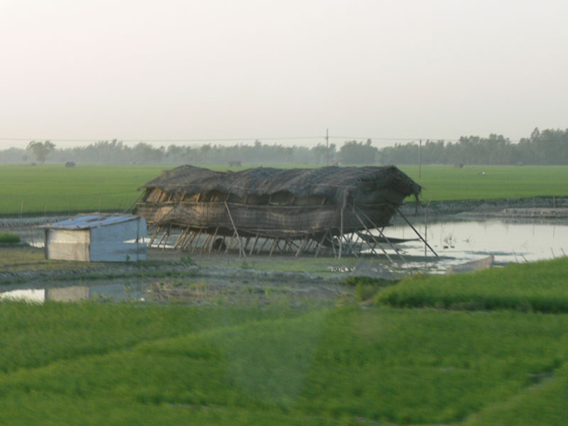 13e_P1000796