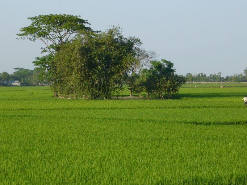 P1000667