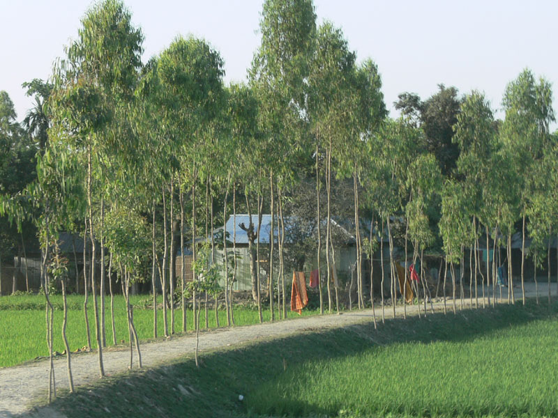 P1000777