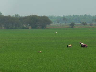 13a_P1000082