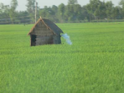 13c_P1000776