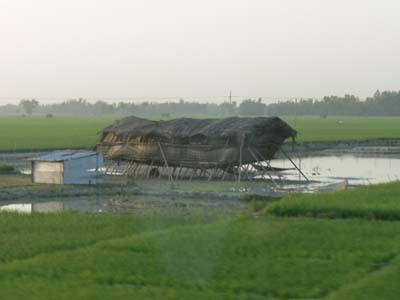 13e_P1000796